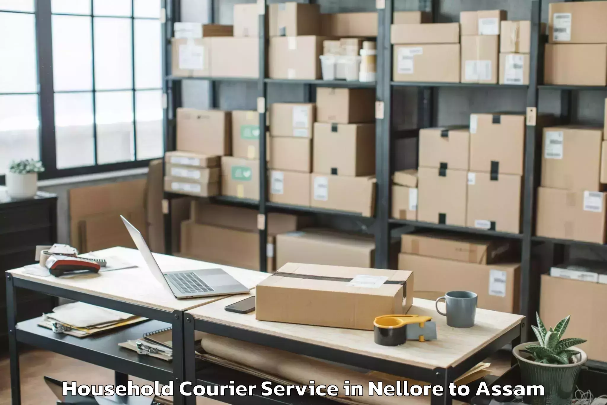 Book Nellore to Nalbari Household Courier